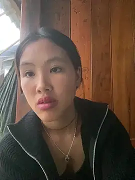 hoa_mai webcam