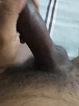 desi_pb02 webcam
