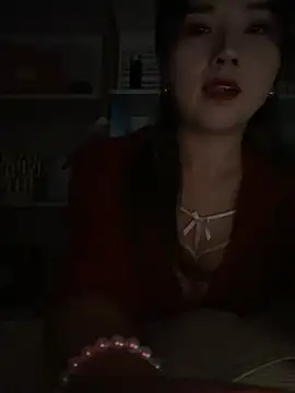 Xiaoxiao-y webcam