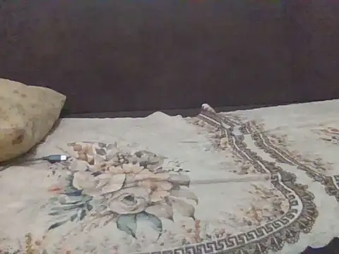 CA_topper_7 webcam