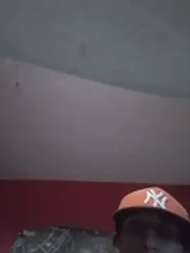 Biohazard_group webcam