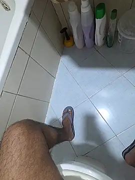 dream_catcher webcam
