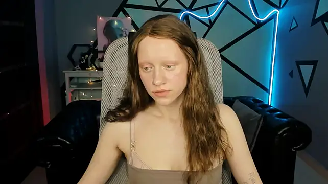 LidaDarknet webcam