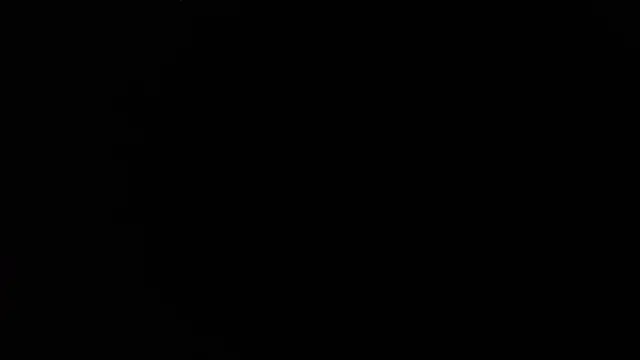 TrevorSteele webcam
