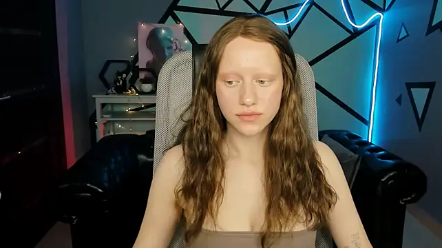LidaDarknet webcam