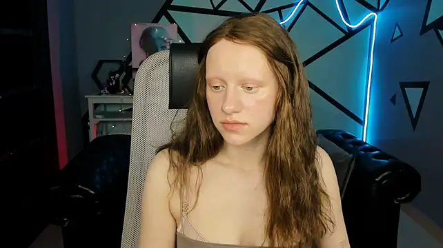 LidaDarknet webcam