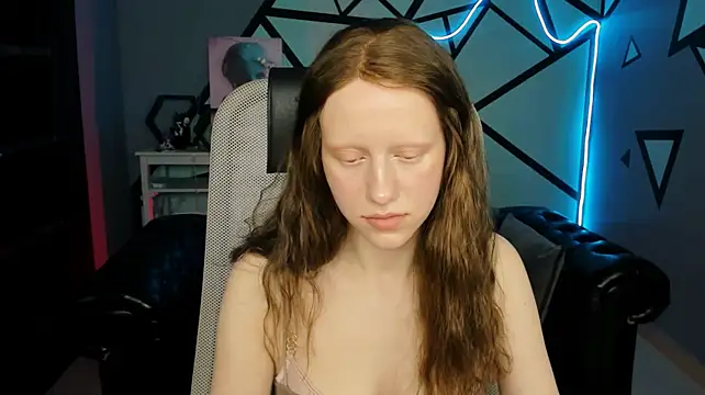 LidaDarknet webcam