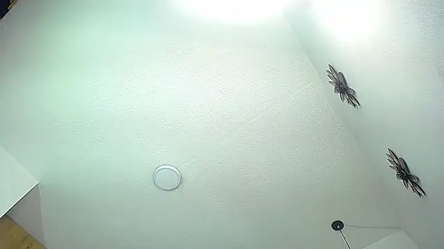 sasi_luna live cam preview