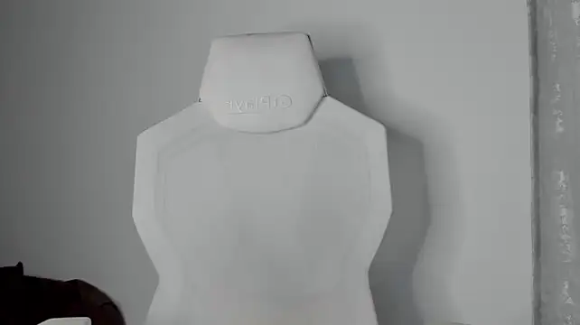 AudreyyKim webcam