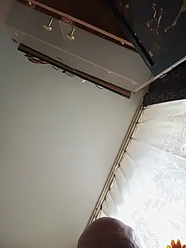 ZLOZ60 webcam