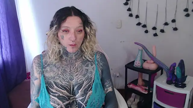 SLOPPYTITSS webcam