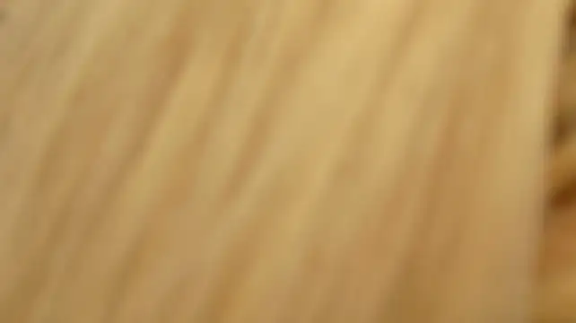 MeganXDesire webcam