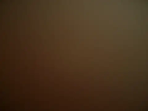 translove webcam
