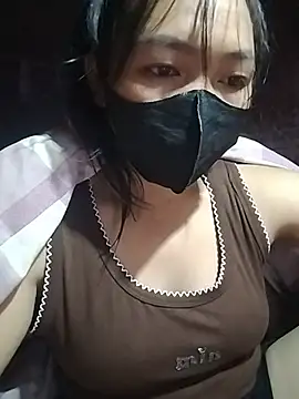 Hiha-nn webcam