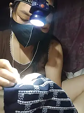 Hiha-nn webcam