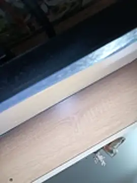 Tina_Mirabella