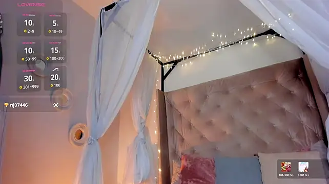 evazul webcam