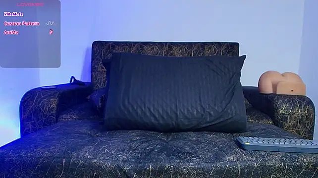 BrayaanFit webcam