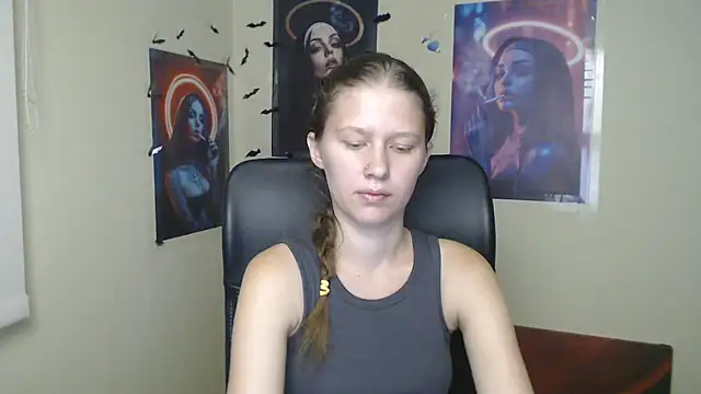 StellaCRL webcam