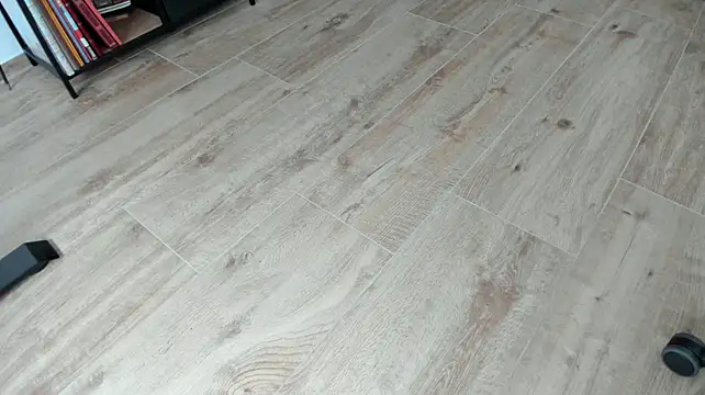 molicaremolicare webcam