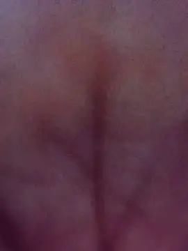 SweetLips_04 webcam
