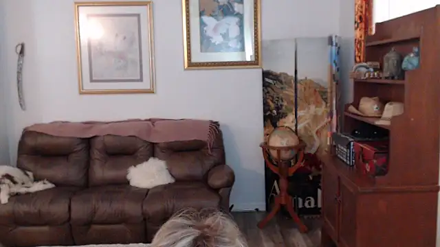 SindeeDix webcam