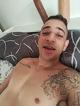 GATO-SELVAGEM