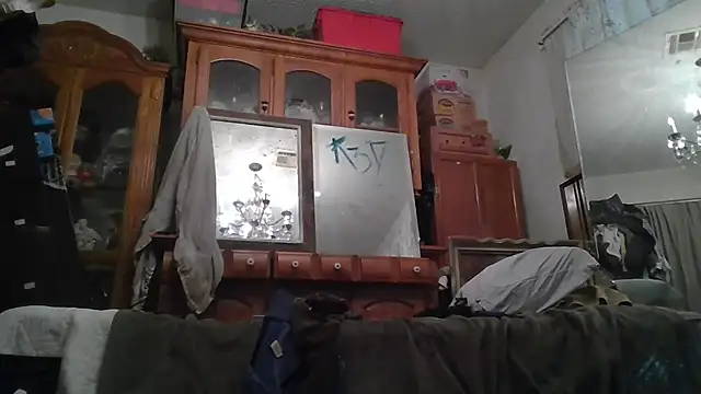 slinginbigD webcam