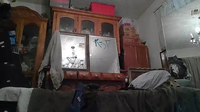 slinginbigD webcam