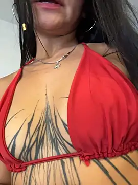 Dakota-fire webcam