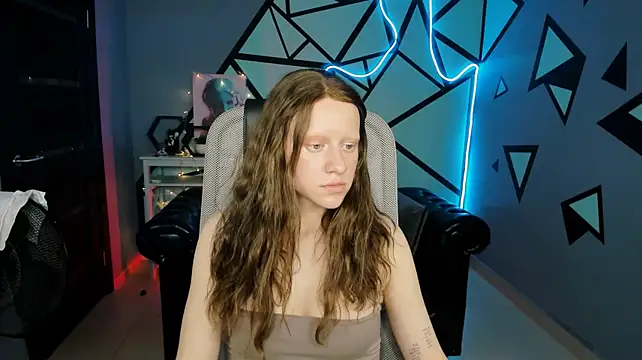 LidaDarknet webcam