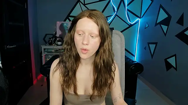 LidaDarknet webcam