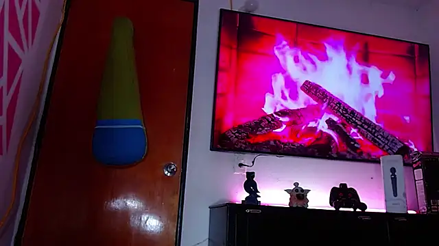 Sophia24cm webcam