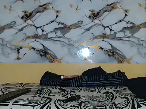 BrownSugarX02 webcam