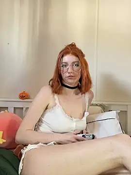 KandyPaws webcam