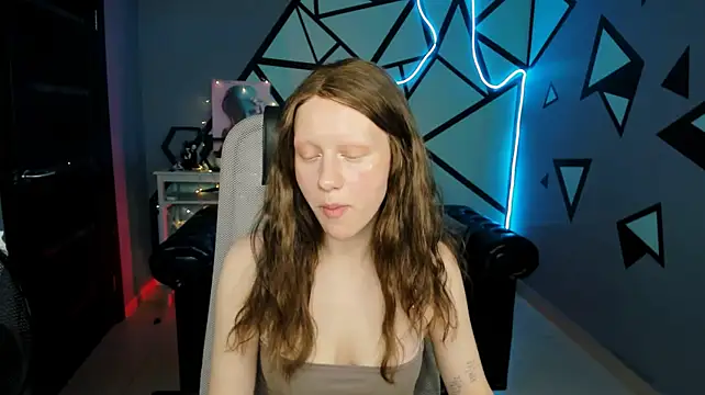 LidaDarknet webcam