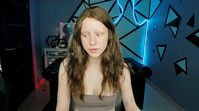 LidaDarknet webcam