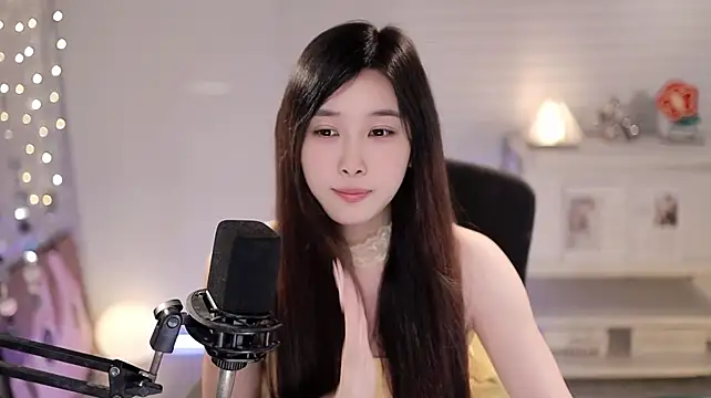 SleepArtist webcam