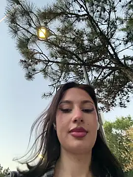 MayaSpringX