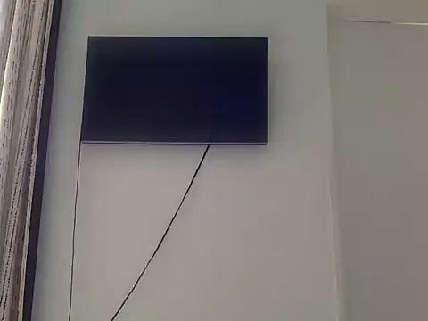 wizsant webcam