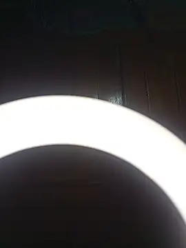 SlBrownCopule webcam