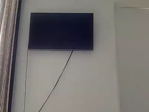 wizsant webcam