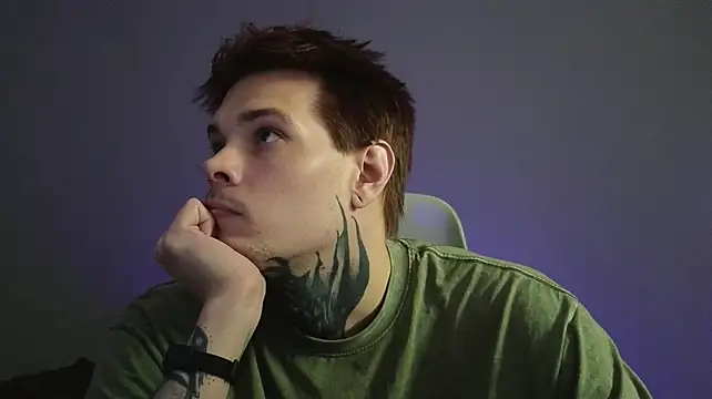 DENIS_HERE webcam