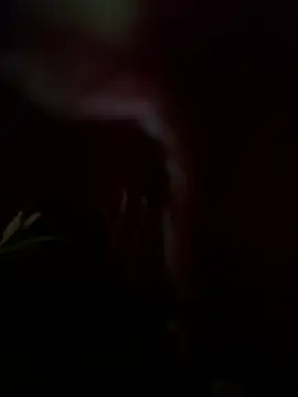 Wildbeer1