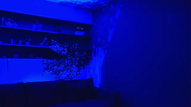 NewLuxxy webcam