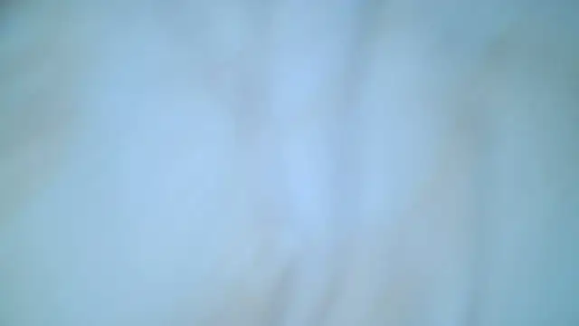 Mushroom83 webcam
