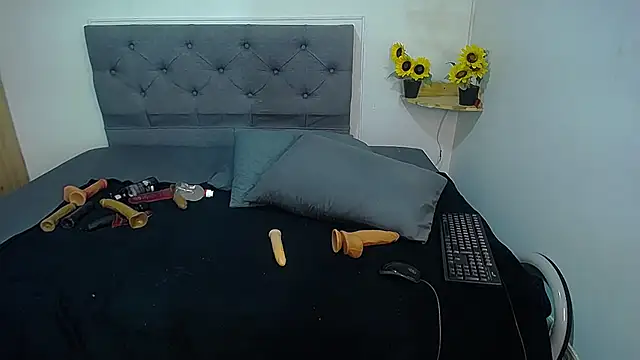 sasi_luna webcam