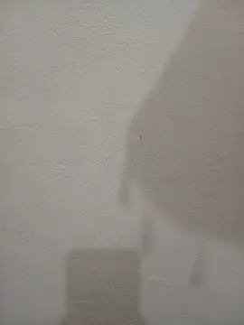 Tanha18 webcam