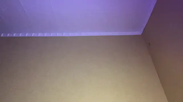 xXMelanieseXx