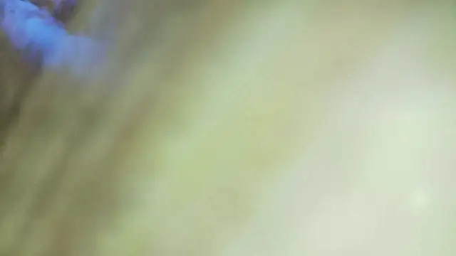 karol_stom live cam on StripChat